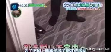 国产酒店视频bt,揭秘隐秘角落里的真实故事