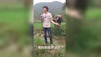 青草国产福利视频在线