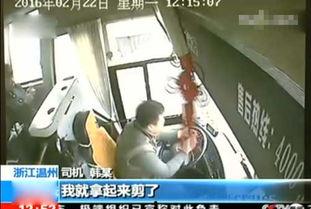 国产车路边拍车视频,镜头下的国产车魅力瞬间