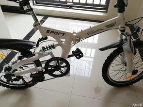 开箱国产自行车视频播放