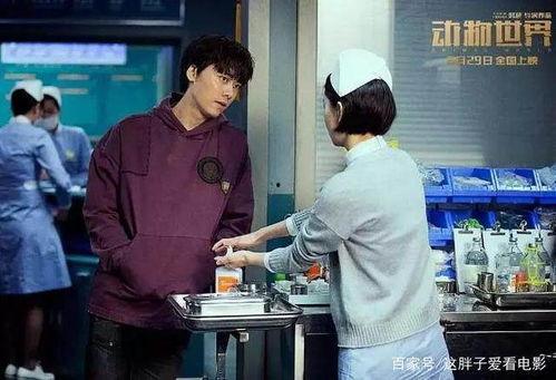 国产赌博影视在线观看视频,在线观看背后的风云变幻